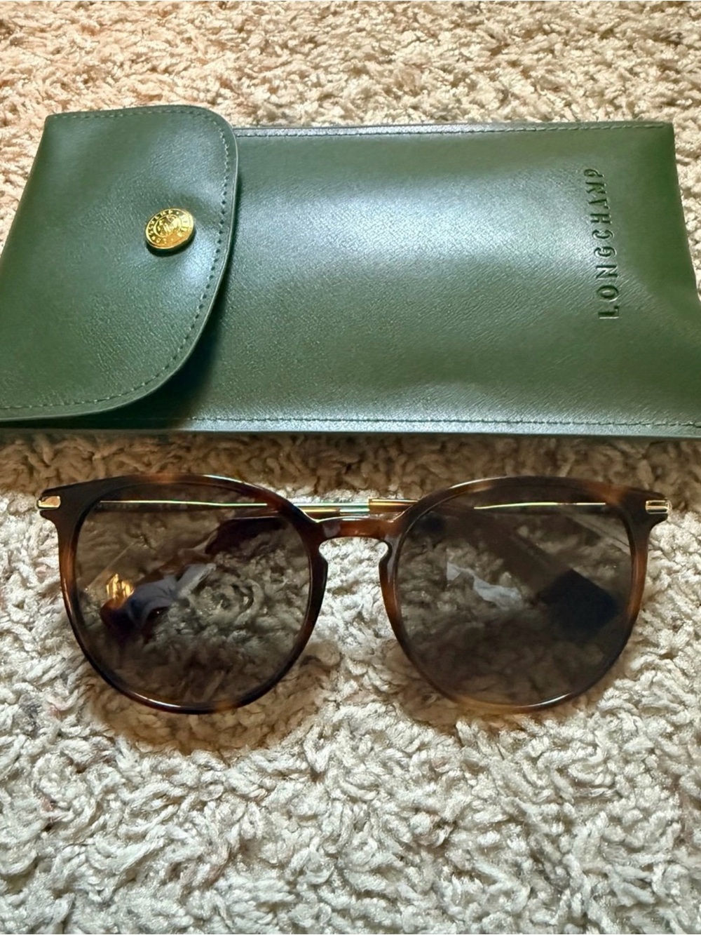 Longchamp Men's Tortoiseshell Sunglasses with Green Case